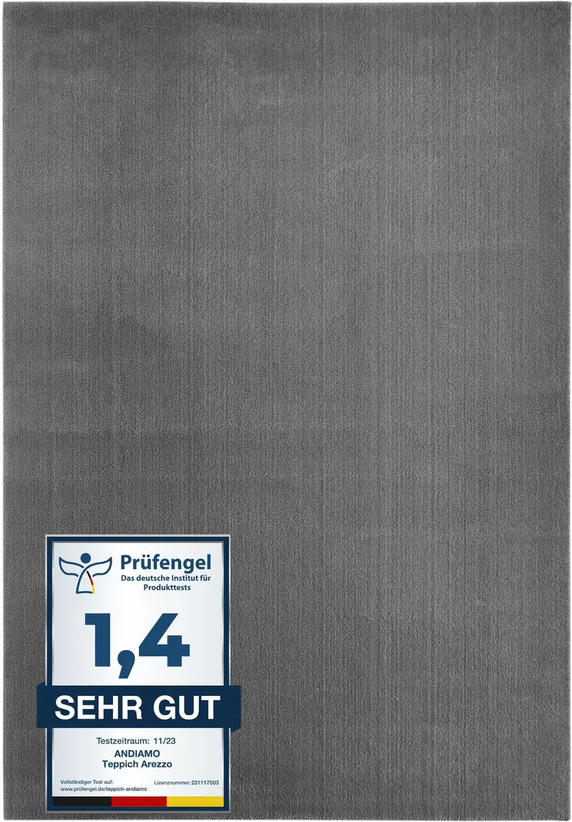 

Ковер Andiamo "Arezzo", прямоугольный, однотонный, мягкий ворс, можно стирать, идеально подходит для гостиной и спальни 120х170 см, цвет anthrazit