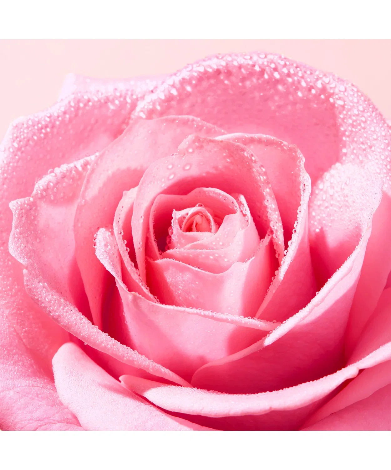 Средство для снятия макияжа Nuxe — Масло для снятия макияжа Very Rose, , , , бесцветное, 150 мл — фото 2