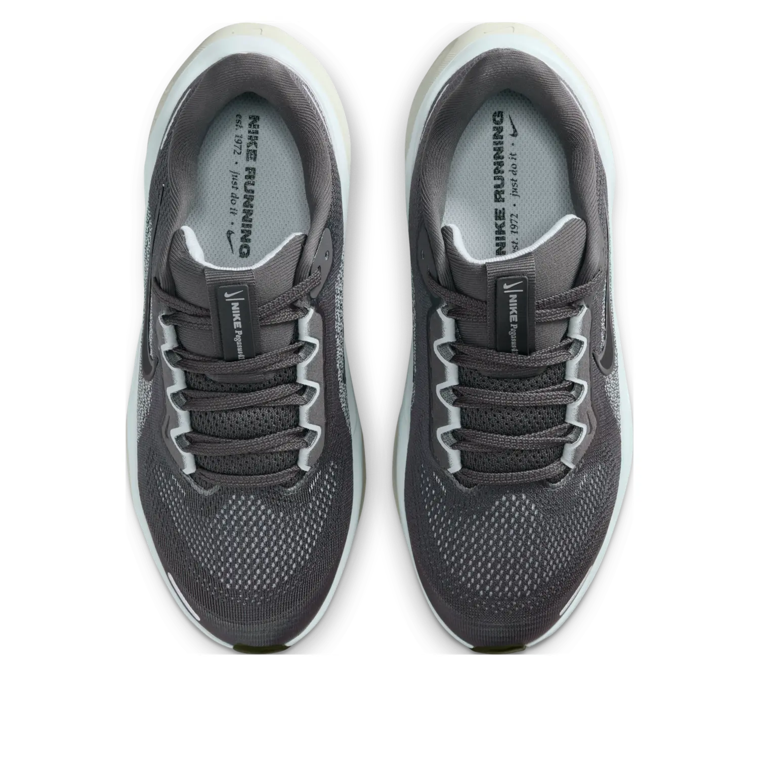 Кроссовки (GS) Nike Air Zoom Pegasus 41 'Medium Ash Pale Ivory Black' — фото 4