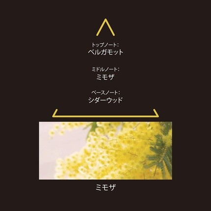 Le Couvent Maison de Parfum Signature Collection Mimosa Eau de Parfum 100 мл — фото 3