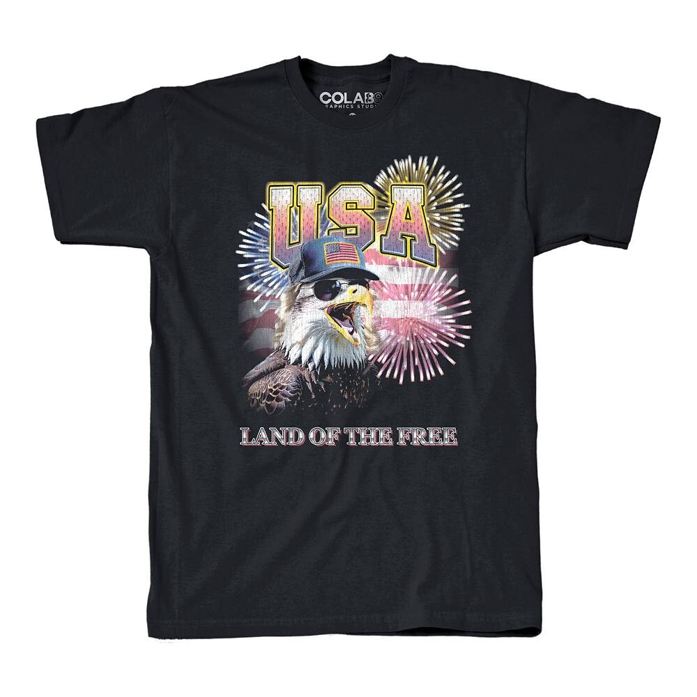 

Мужская футболка с рисунком USA Eagle "Land of The Free" Licensed Character, черный