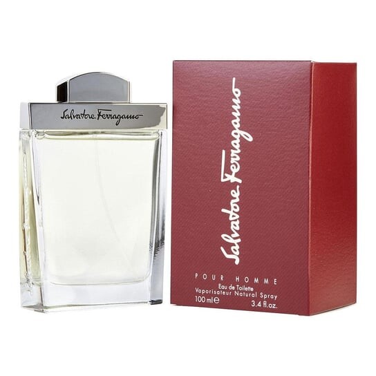 Туалетная вода, 100 мл Salvatore Ferragamo, Pour Homme — фото 2