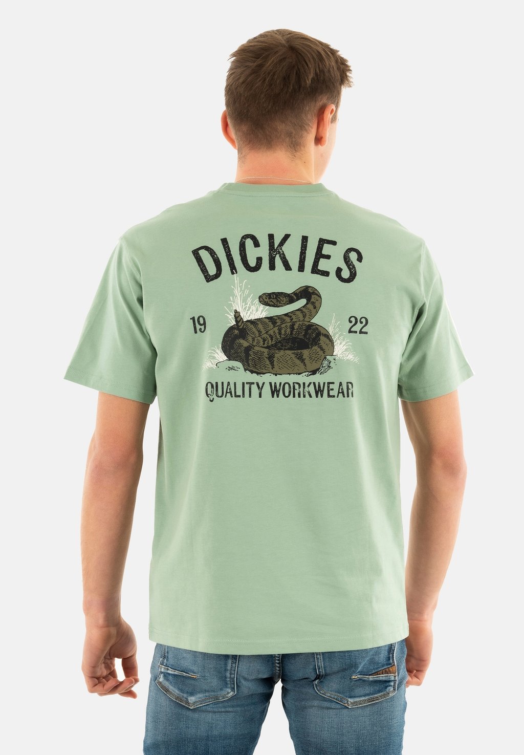 

Футболка с принтом Dickies, зеленый