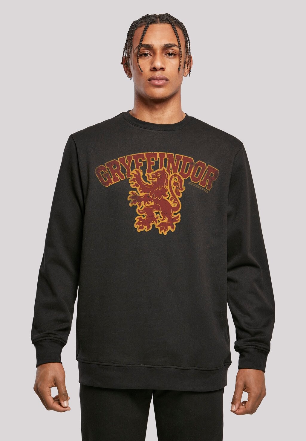 

Толстовка HARRY POTTER GRYFFINDOR SPORT EMBLEM F4NT4STIC, черный
