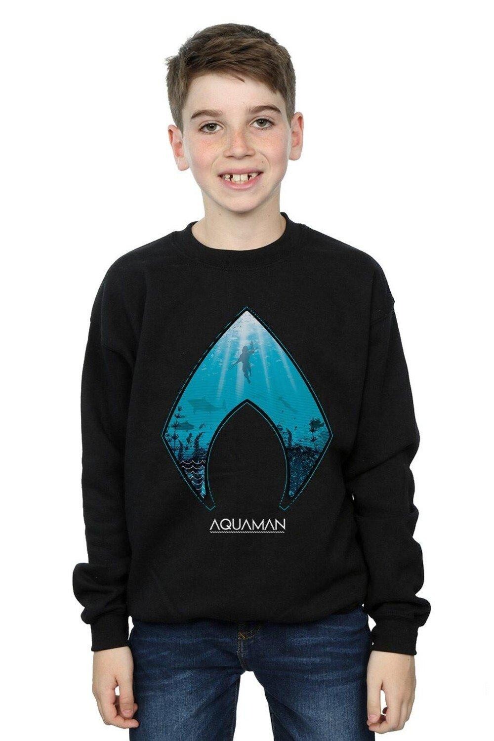 

Толстовка с логотипом Aquaman Ocean DC Comics, черный