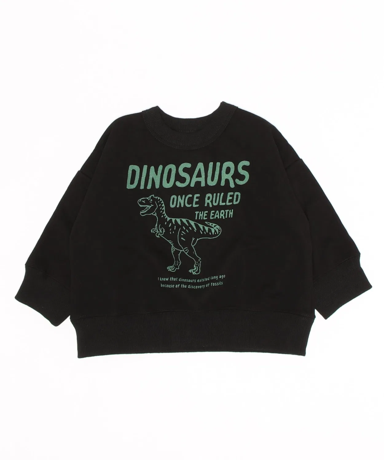 Свитшот детский с принтом динозавра, Warm Sweat, бренд DINOSAUR, черный