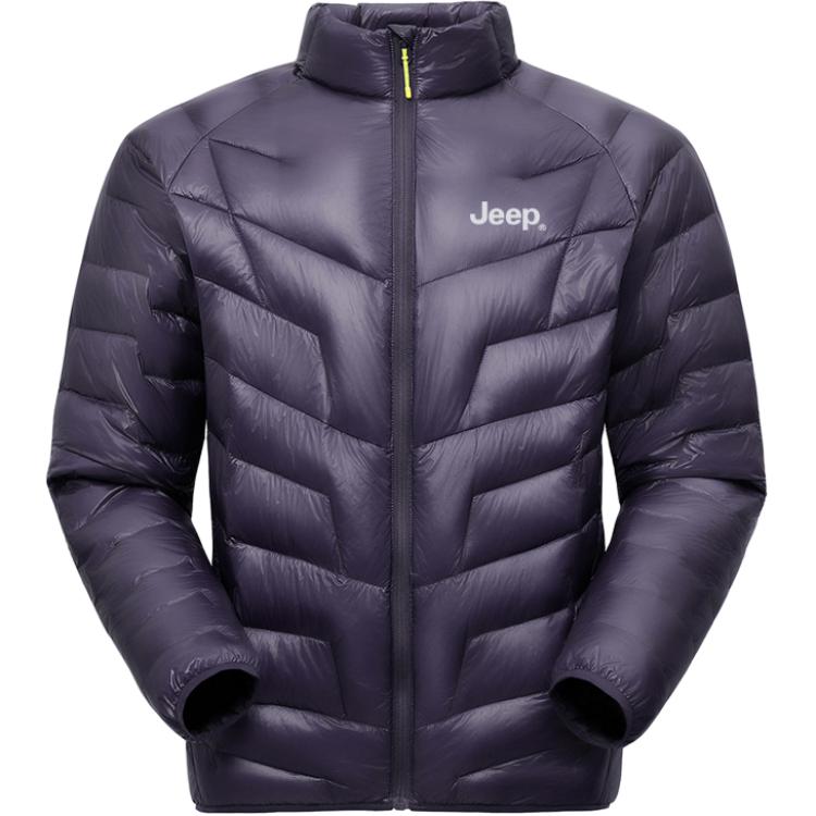 

Пуховик мужской с воротником стойкой Moderate Jeep, mineral crystal фиолетовый