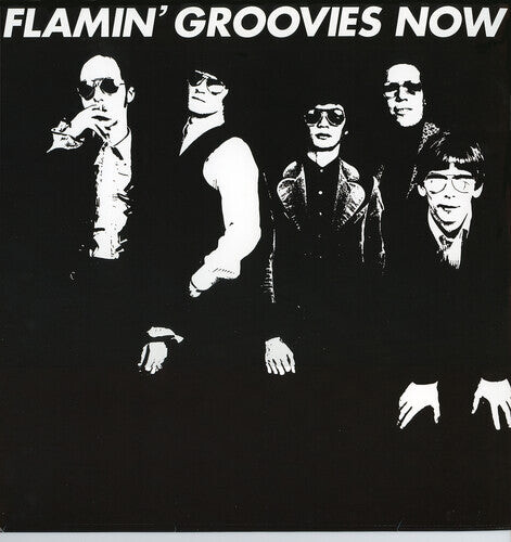 

CD диск Flamin' Groovies: Now