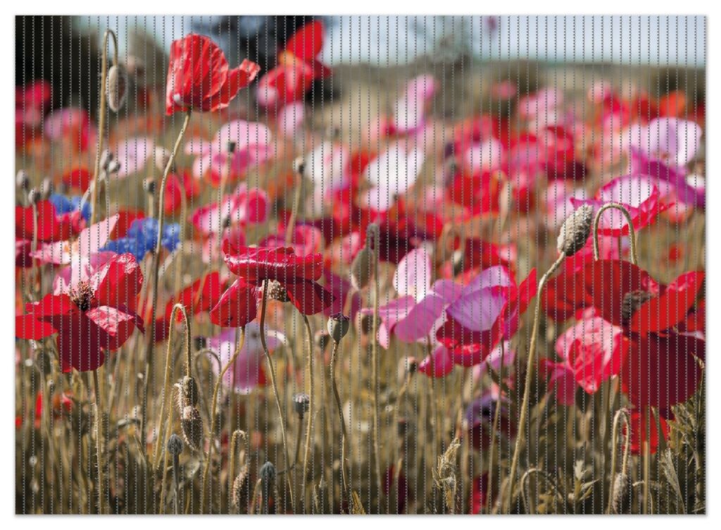 

Коврик для душа Wallario, нескользящий коврик, коврик для ванной, коврик для двери, маки на краю поля, размер ок. 90 х 65 см, черный