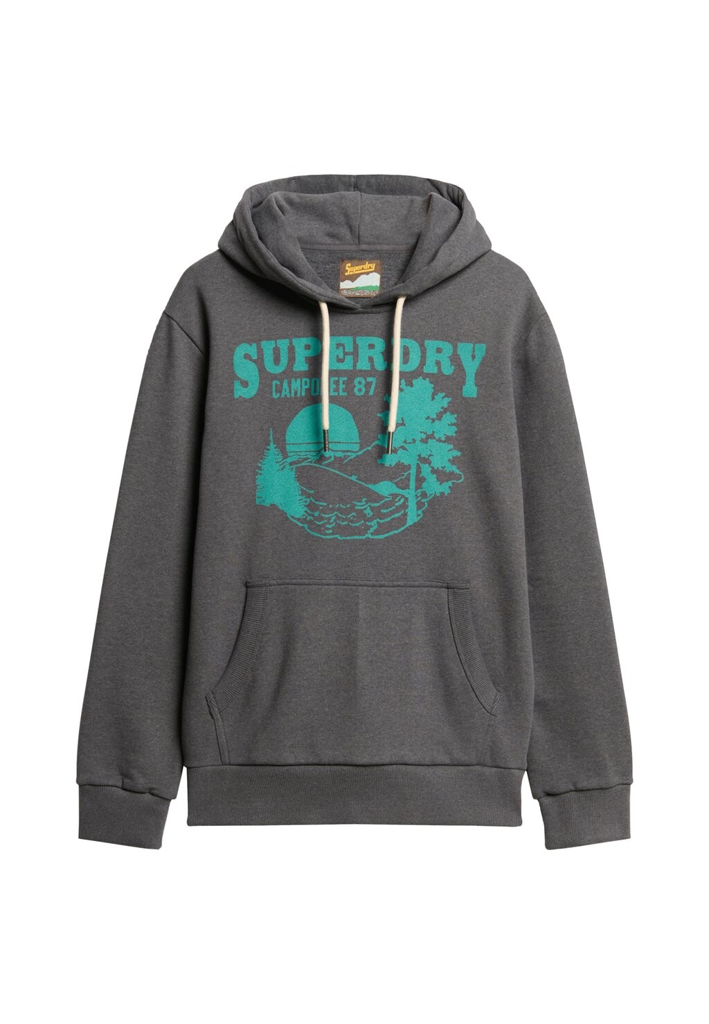 

Толстовка с капюшоном GRAPHIC Superdry, серый