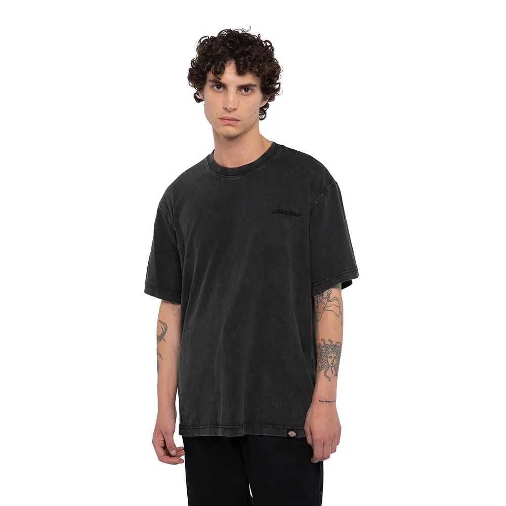 

Футболка Dickies Plentywood, черный