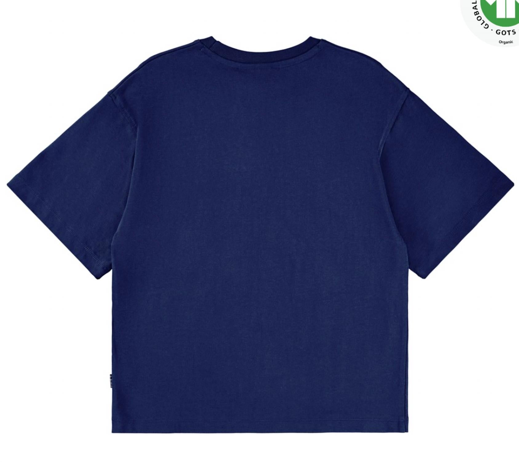 Футболка Renley для мальчика в цвете Galaxy Blue Molo, Galaxy Blue — фото 2