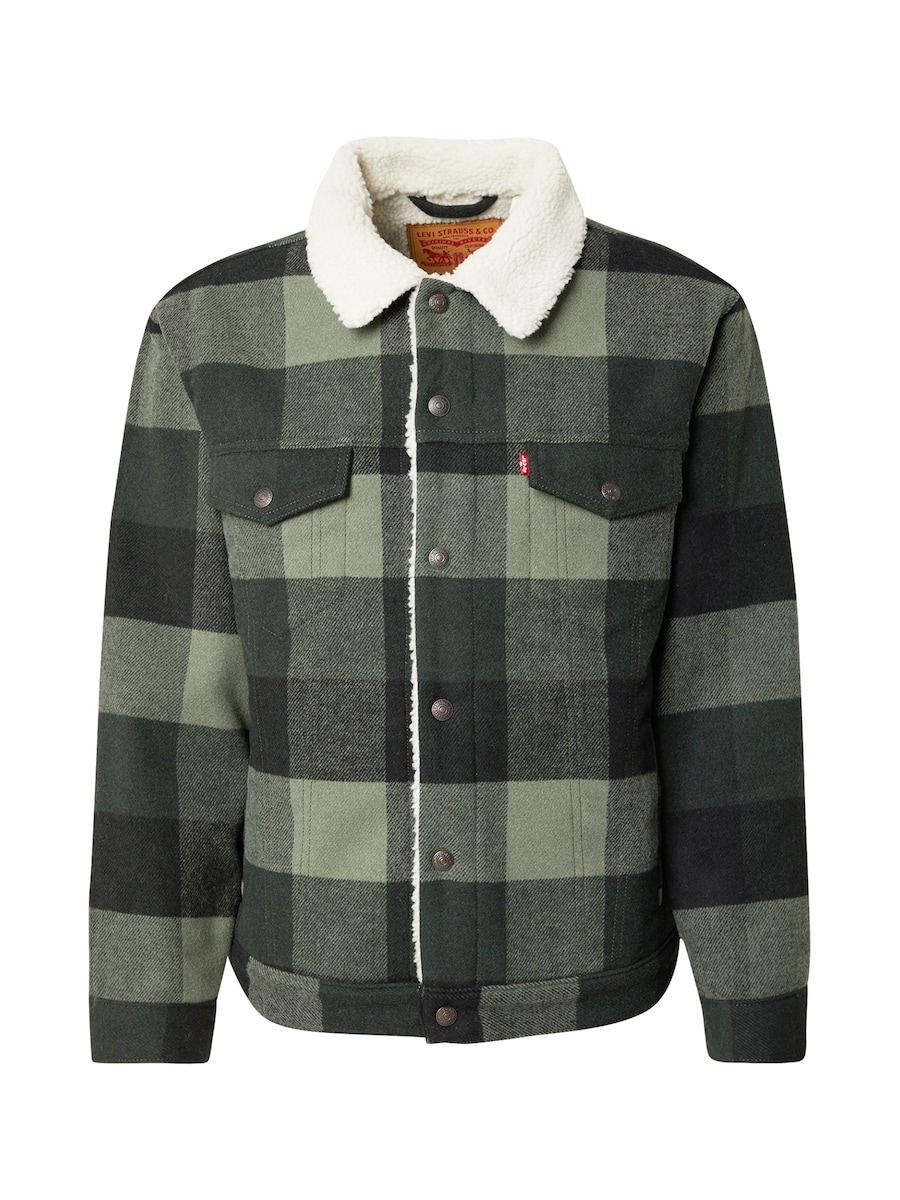 

Куртка межсезонная LEVI'S Relaxed Fit Plaid Sherpa Trucker Jacket, пастельно-зеленый/темно-зеленый