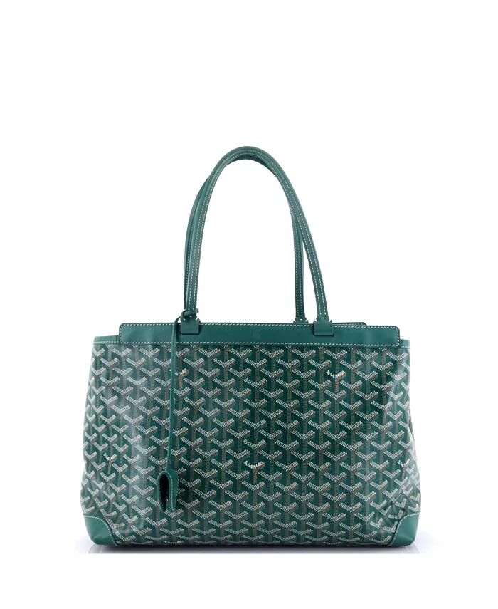 

Сумка PM Bellechasse из полотняного покрытия Pre-Owned Goyard, зеленый