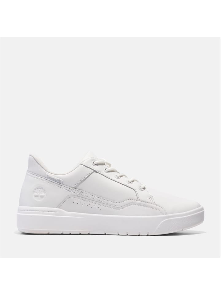 

Кроссовки на шнуровке Allston Low Lace Up Sneaker Timberland, белый