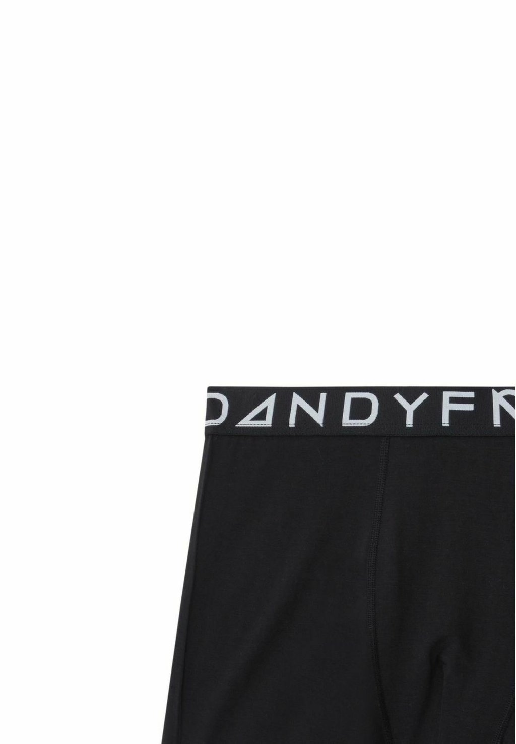 

Трусы-боксеры 5-PACK BASIC Frank Dandy, черный
