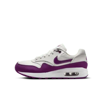 

Кроссовки Nike Air Max 1, цвет Summit White/White/Viotech