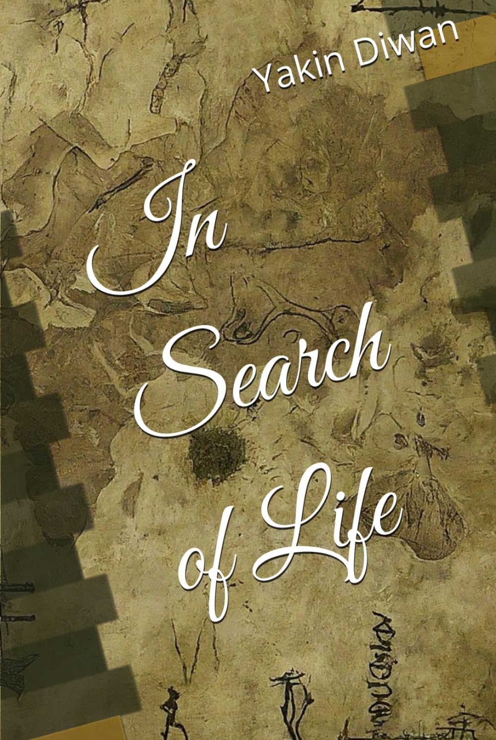 

In Search of Life (Independently published)