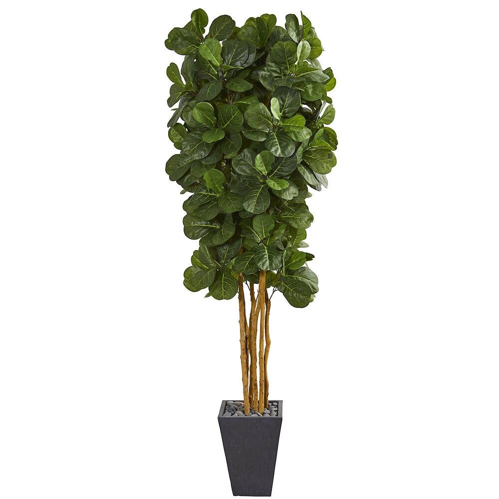 

Почти натуральное искусственное дерево Fiddle Leaf в шиферном горшке Nearly Natural, зеленый