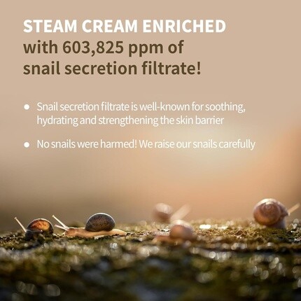 Крем для лица Benton — Snail Bee High Content Steam Cream Увлажняющий с муцином улитки с пчелиным ядом и — фото 2