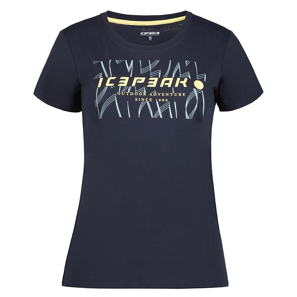 

Футболка Icepeak Belcher I, синий