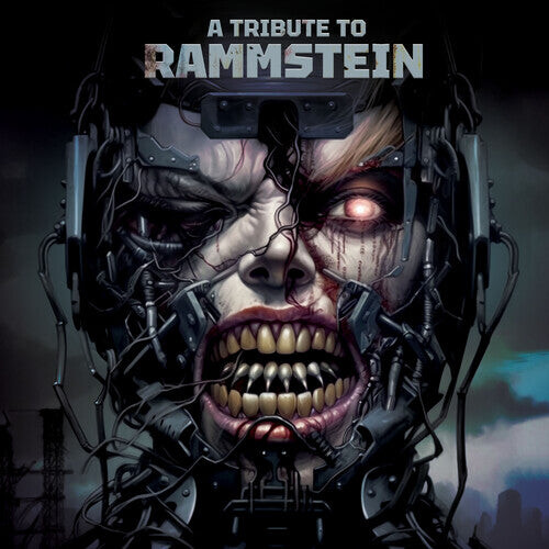 

Виниловая пластинка Tribute to Rammstein / Various: A Tribute To Rammstein (Various Artsists)