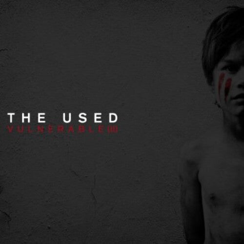 

CD диск Used: Vulnerable 2