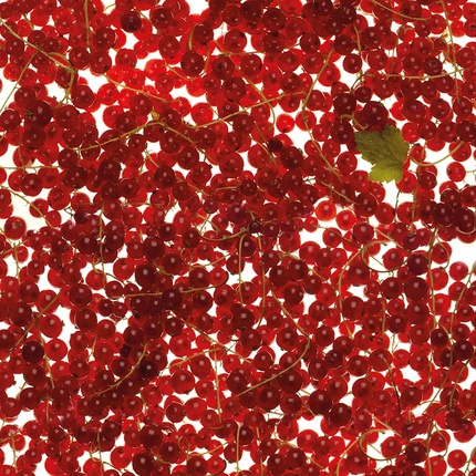Бодрящий душ и ванна Tuscia Berries 250 мл Erbario Toscano — фото 3