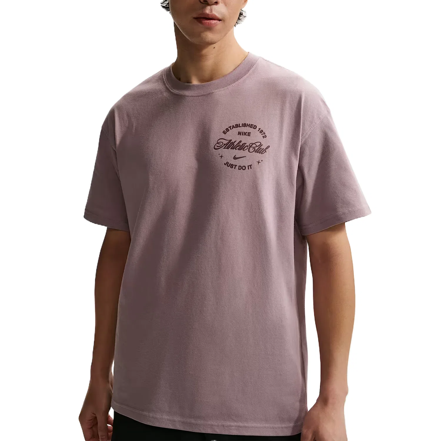 Футболка мужская N.A.C Nike, Light Purple/Light Ivory