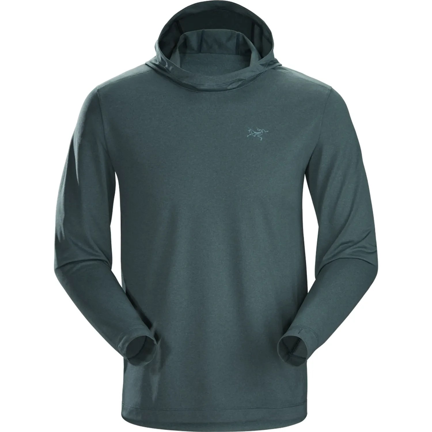 Толстовка с капюшоном Remige мужская Arcteryx, Forest Green/Cryptochrome