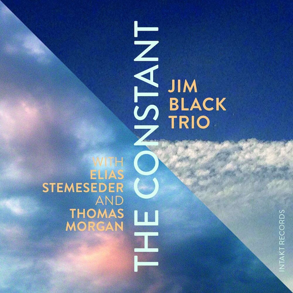 

Диск CD The Constant - Jim Black Trio