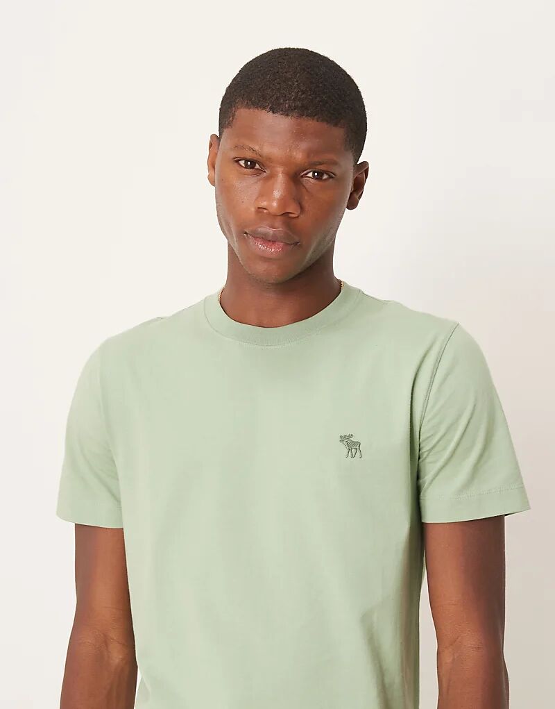 

Футболка Abercombie & Fitch с логотипом и круглым вырезом, зелёного цвета Abercrombie & Fitch