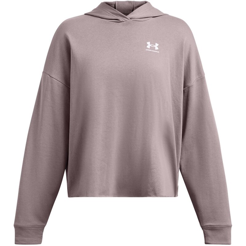 

Толстовка Kapuzensweat ua конкурент Терри Ос Under Armour, цвет tetra gray