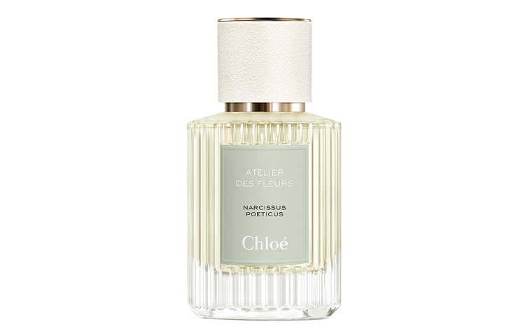 

Духи chloe wonderland garden spring daffodils potpourri accord eau de parfum с ирисом и сандалом 50 мл/150 мл Chloé