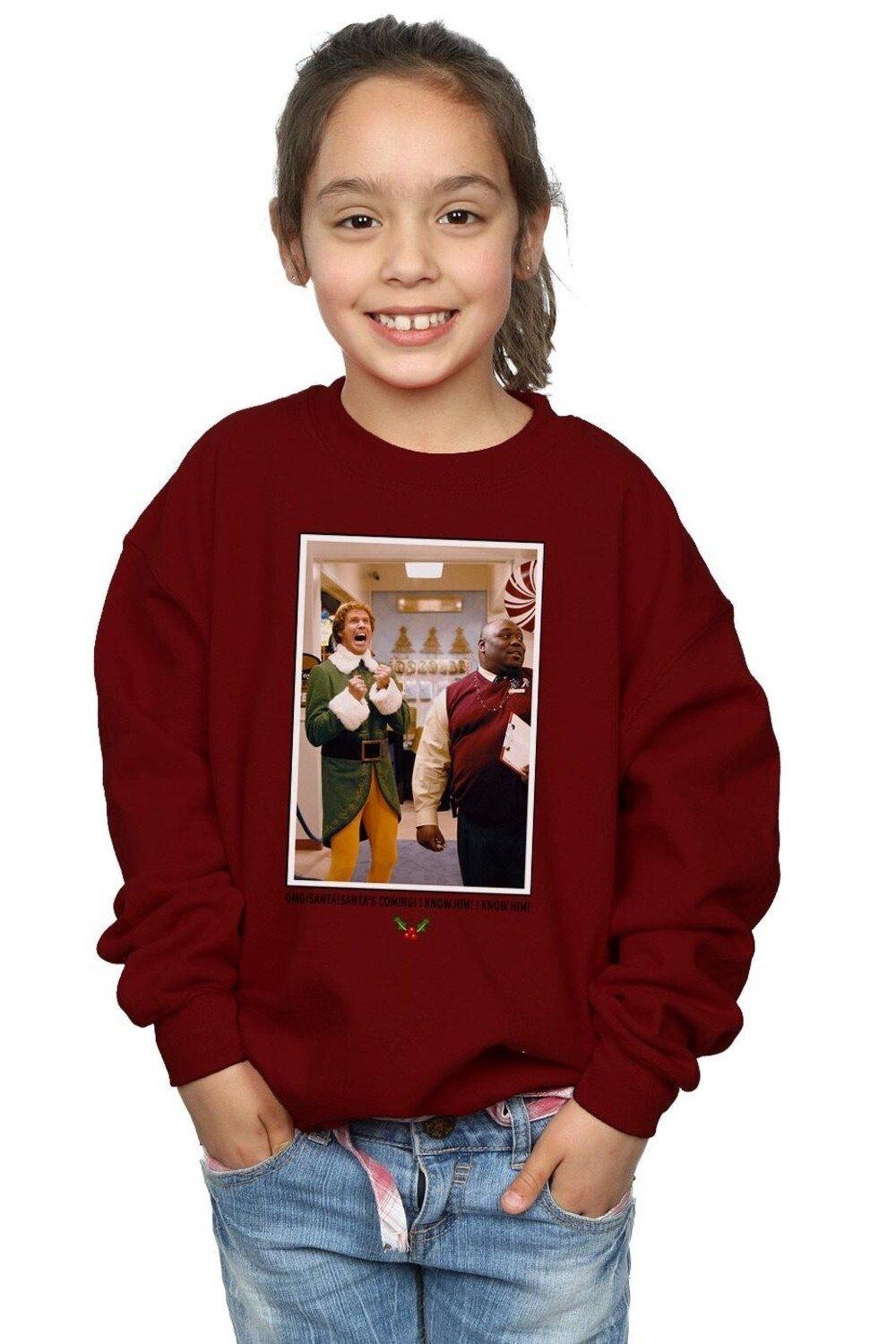 

Толстовка OMG Santa Photo Elf, красный