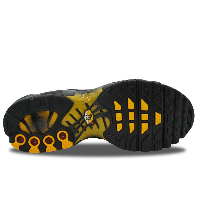 Баскетбольные кроссовки Nike Air Max Plus TN Black University Gold — фото 3
