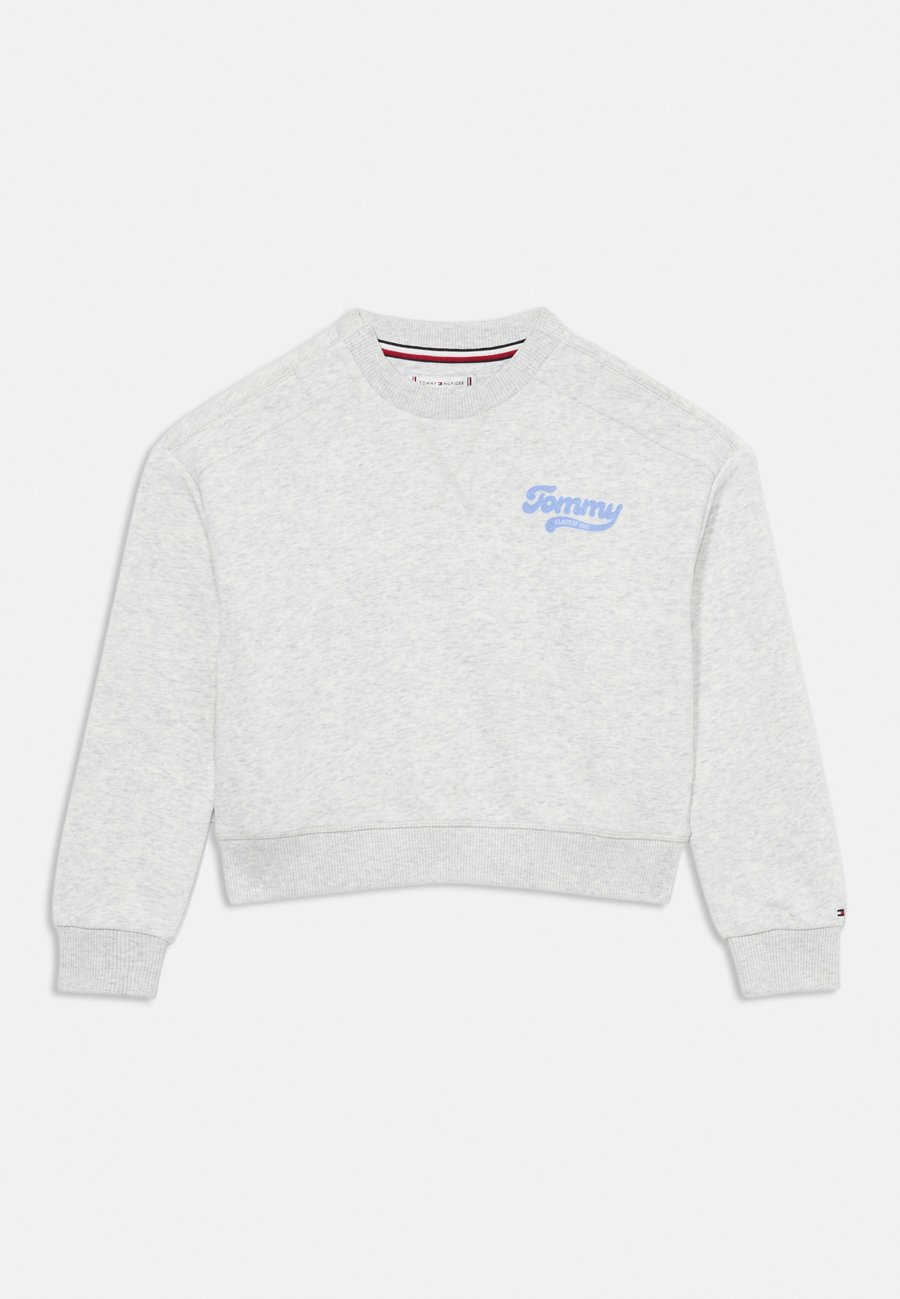 

Толстовка Tommy Hilfiger FLOCK, Light Grey/Grey