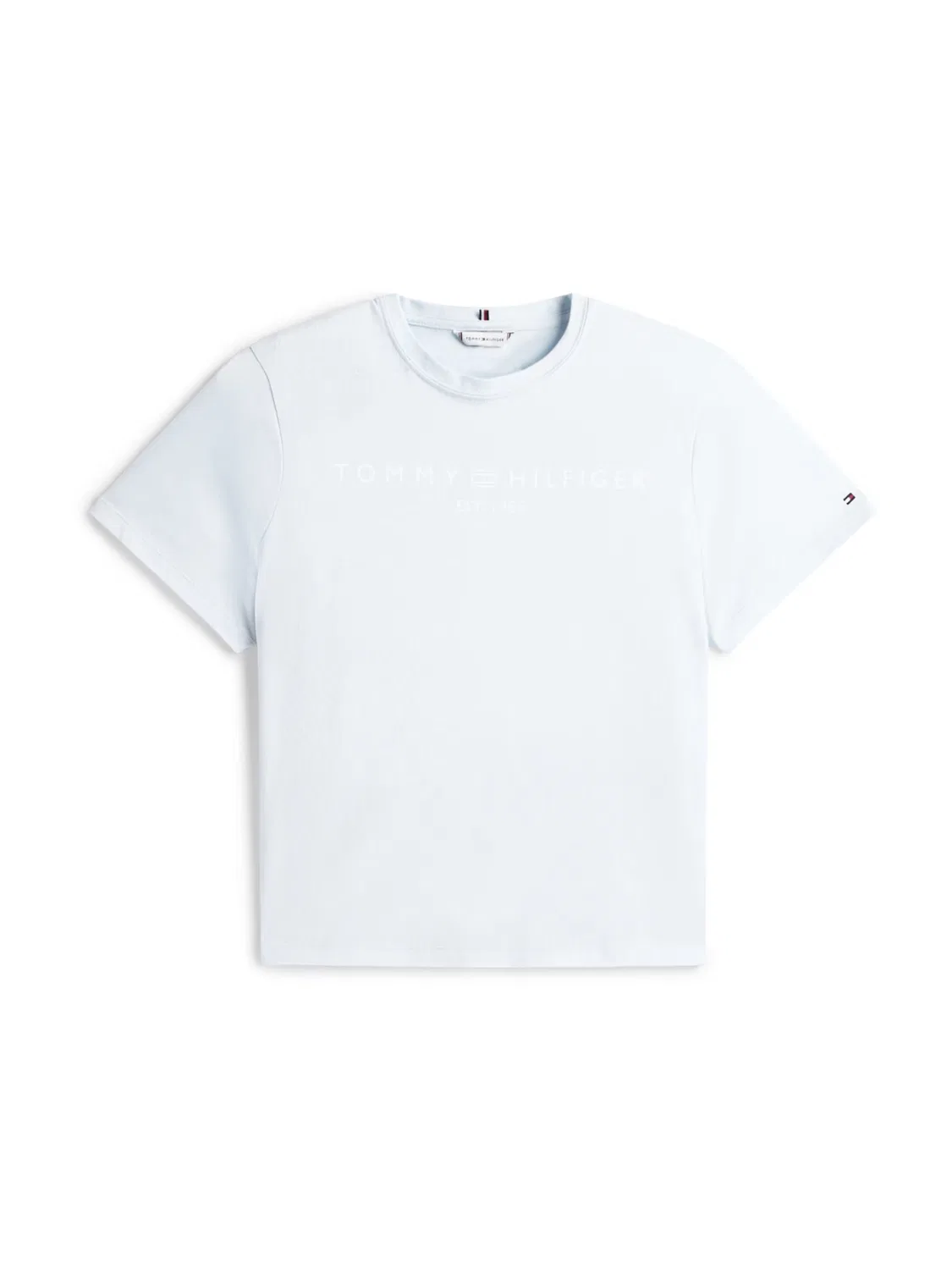 Футболка Tommy Hilfiger Curve, Light Blue