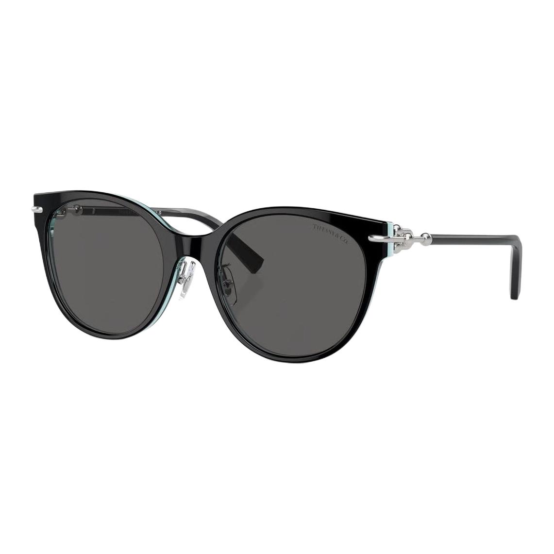 

TIFFANY & CO. Пантос оправа для солнцезащитных очков, Black