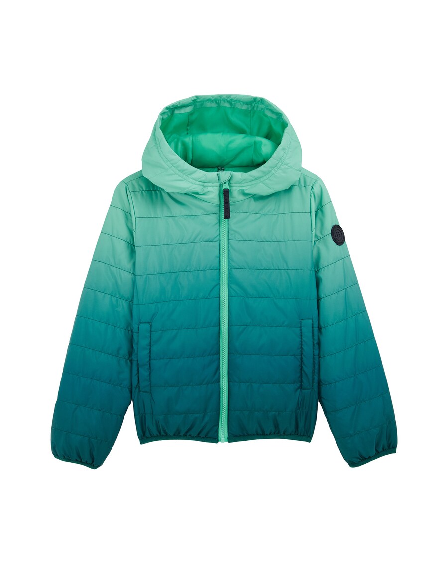 

Межсезонная куртка WE Fashion, цвет Blue/Green