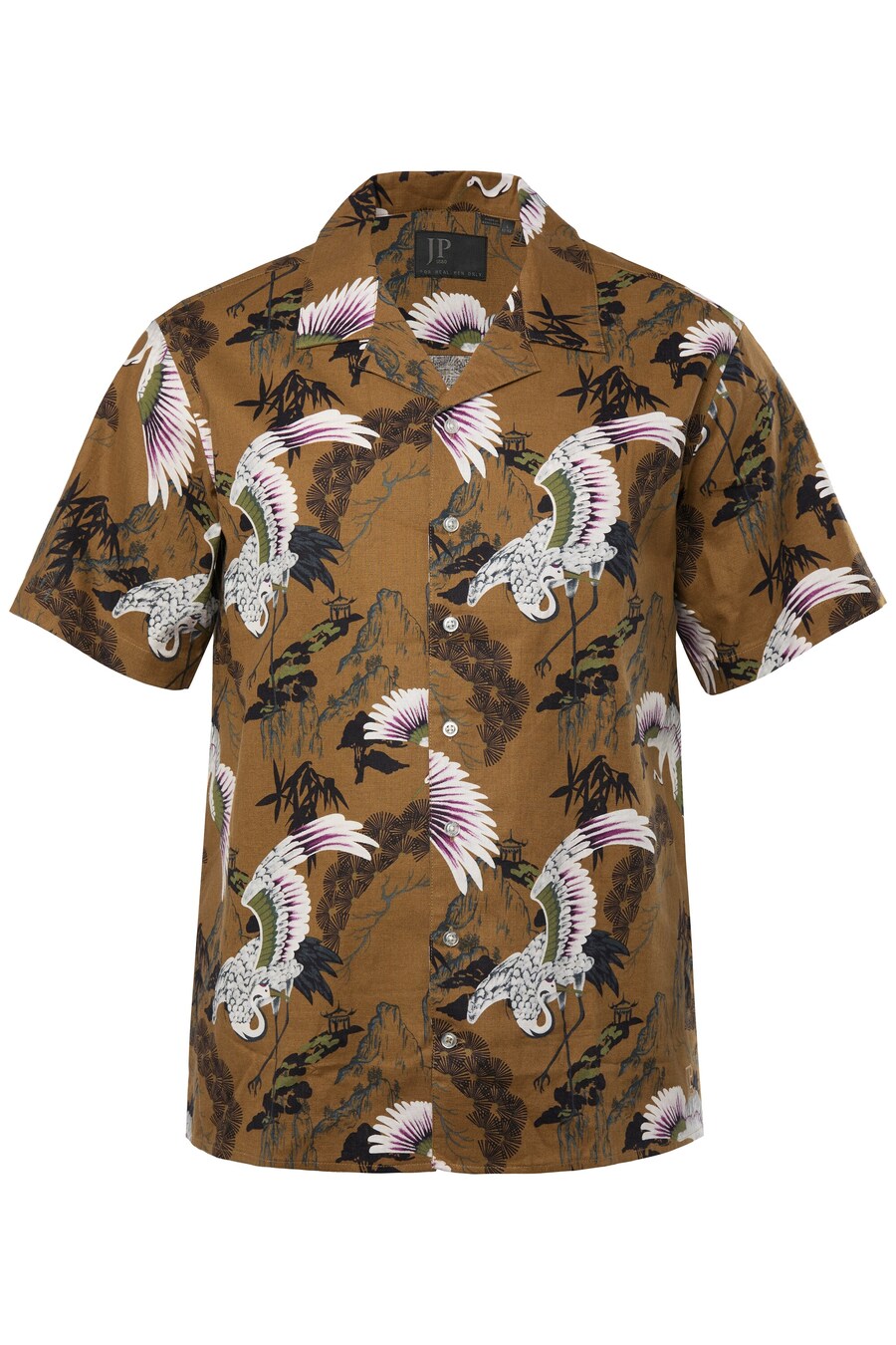 

Рубашка на пуговицах классического кроя JP1880, Brown