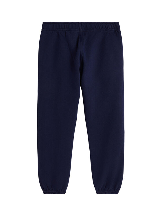 Спортивные брюки regular fit 312979044001 Polo Ralph Lauren, синий — фото 2