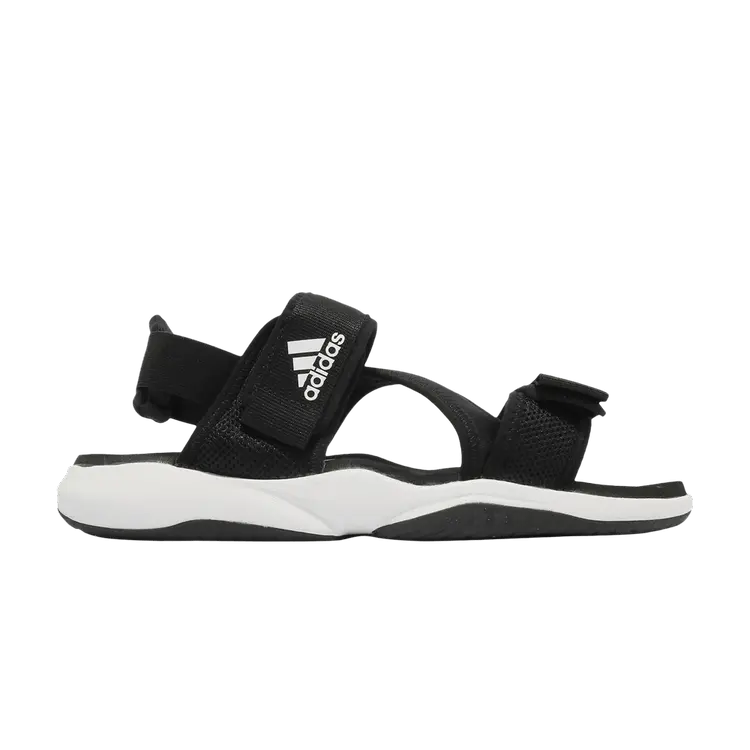 

Кроссовки Terrex Sumra 'Black White', черный