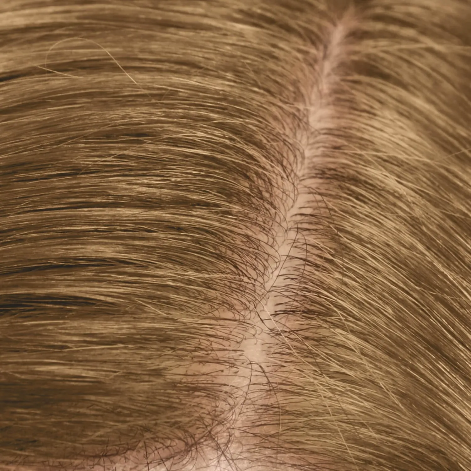Dualsenses Color Revive Root Touch Up От среднего до темно-русого 3,7 г Goldwell — фото 3