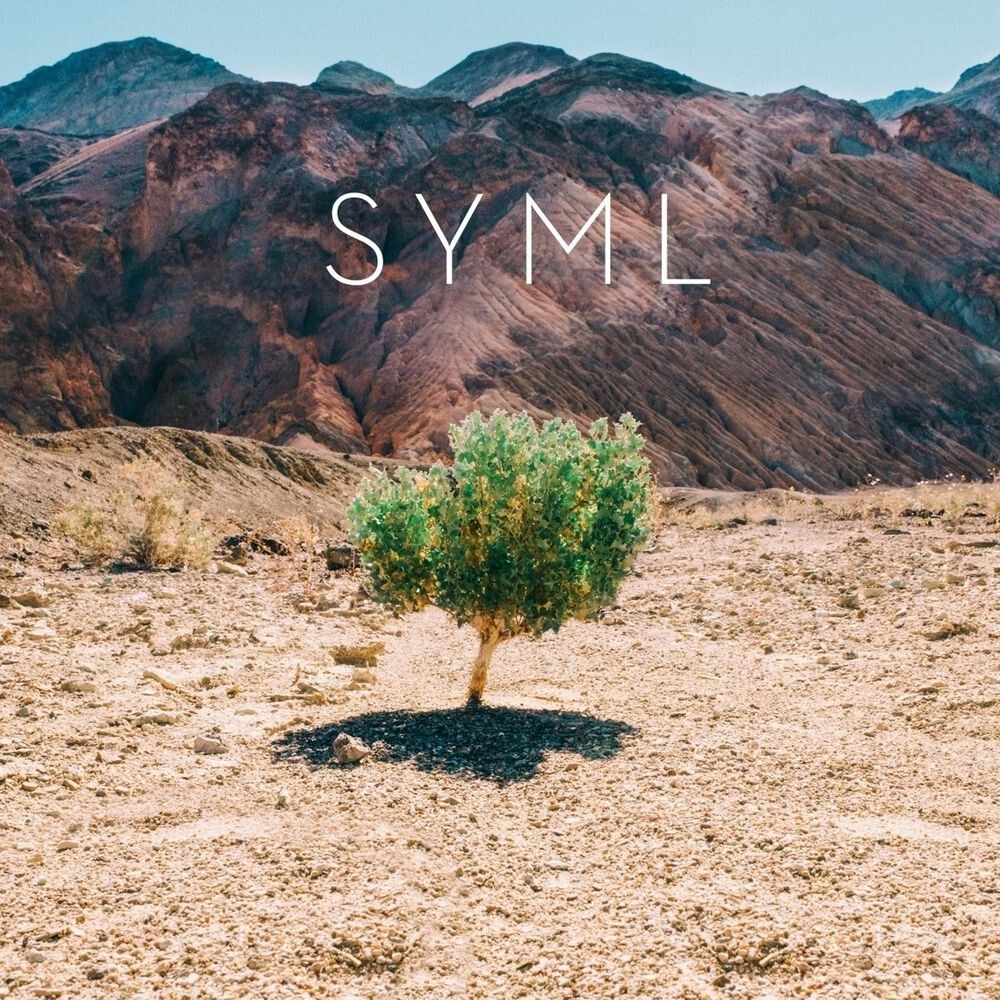 

Виниловая пластинка LP In My Body - SYML