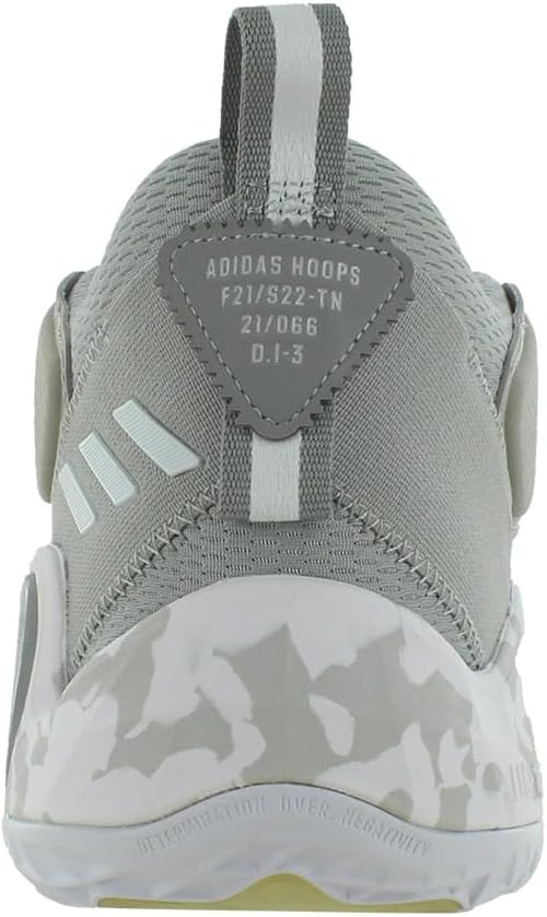 Мужские походные кроссовки adidas Terrex Skychaser Lt Gtx, белый/серый — фото 3