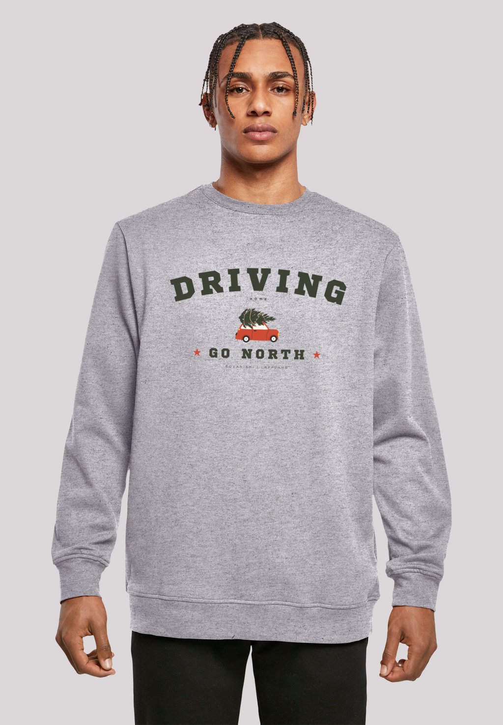 

Толстовка DRIVING HOME WEIHNACHTEN F4NT4STIC, серый