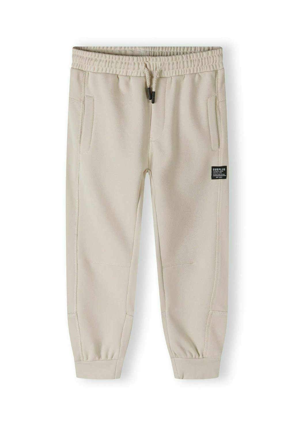 

Спортивные штаны JOGGERS MINOTI, цвет Stone