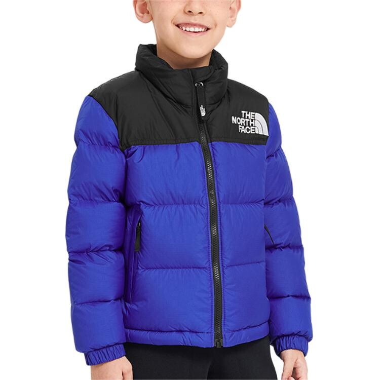 

GS Пуховики/Жилеты The North Face, синий