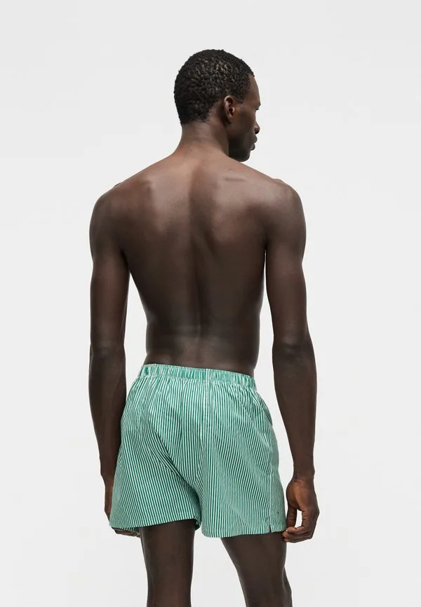 Одиночные боксерские шорты Polo Ralph Lauren, Green/White — фото 3